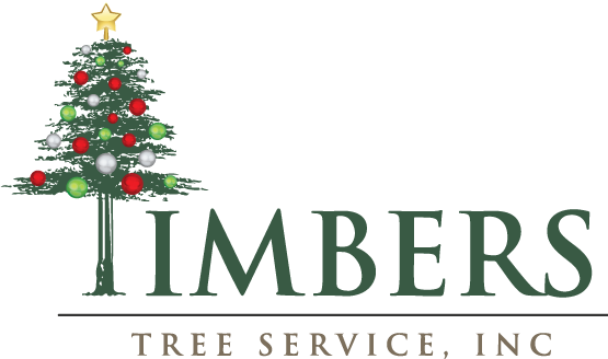 Timbers-Christmas-Tree